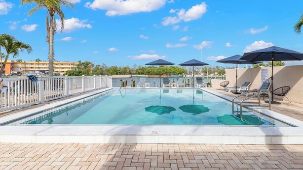 A clear blue swimming pool with lounge chairs and umbrellas, surrounded by a white fence and palm trees. - Oasis by the water. (Sarasota)