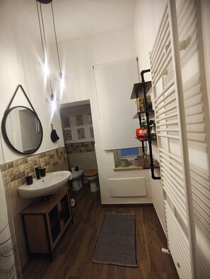 Shower, hair dryer, bidet, towels