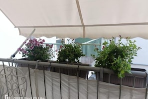 施設の敷地