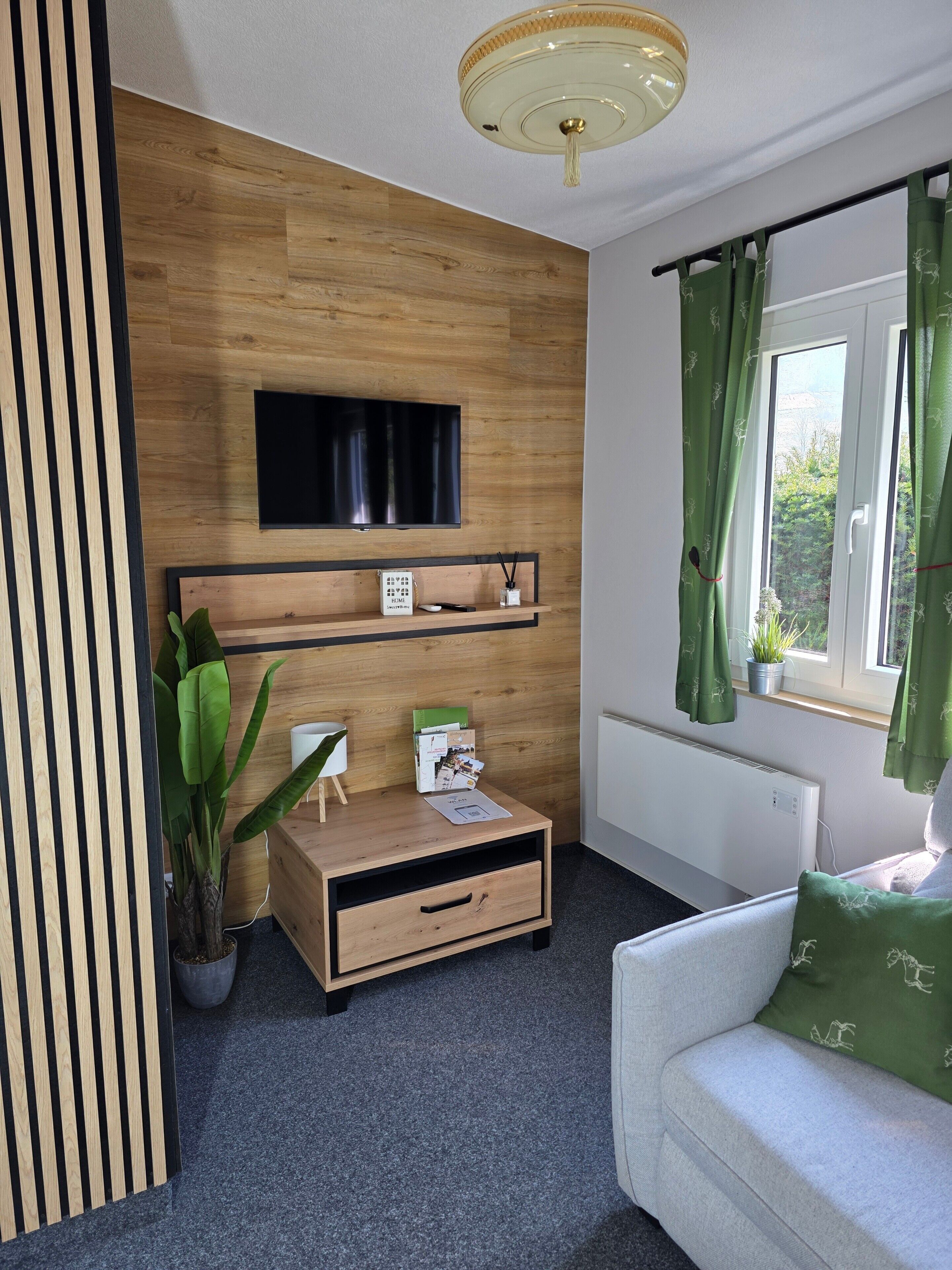 TV, fireplace, table tennis