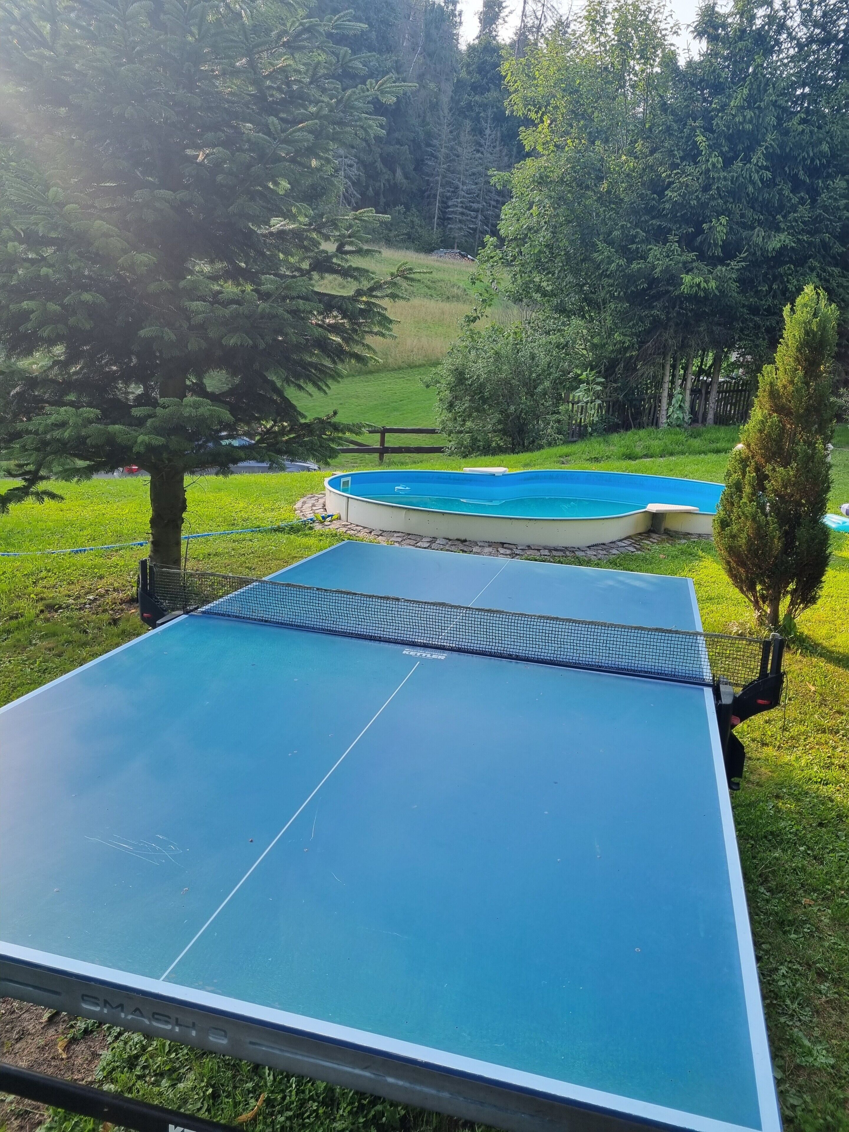 Ein Tischtennis-Tisch im Freien mit Netz, umgeben von Grünpflanzen und einem kleinen Pool.