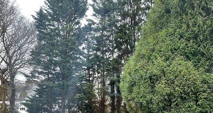 Dover Ferry Luxury Apartments