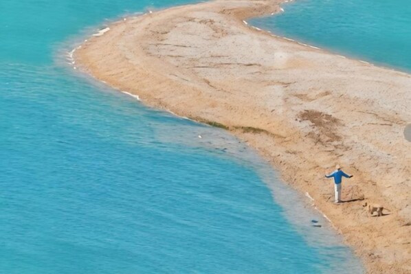 Una playa con una persona de pie sobre la arena, un perro cerca y un mar azul cristalino.