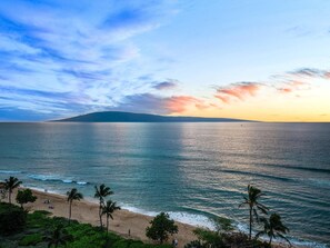 A beach with palm trees, a sandy shore, and a calm sea.