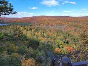 A forested landscape with a clear sky and distant hills.