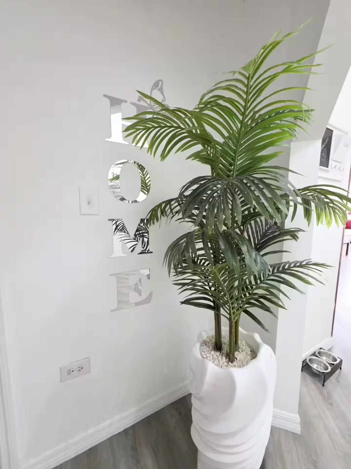 A potted plant in a white planter against a wall with a 'HOME' sign.