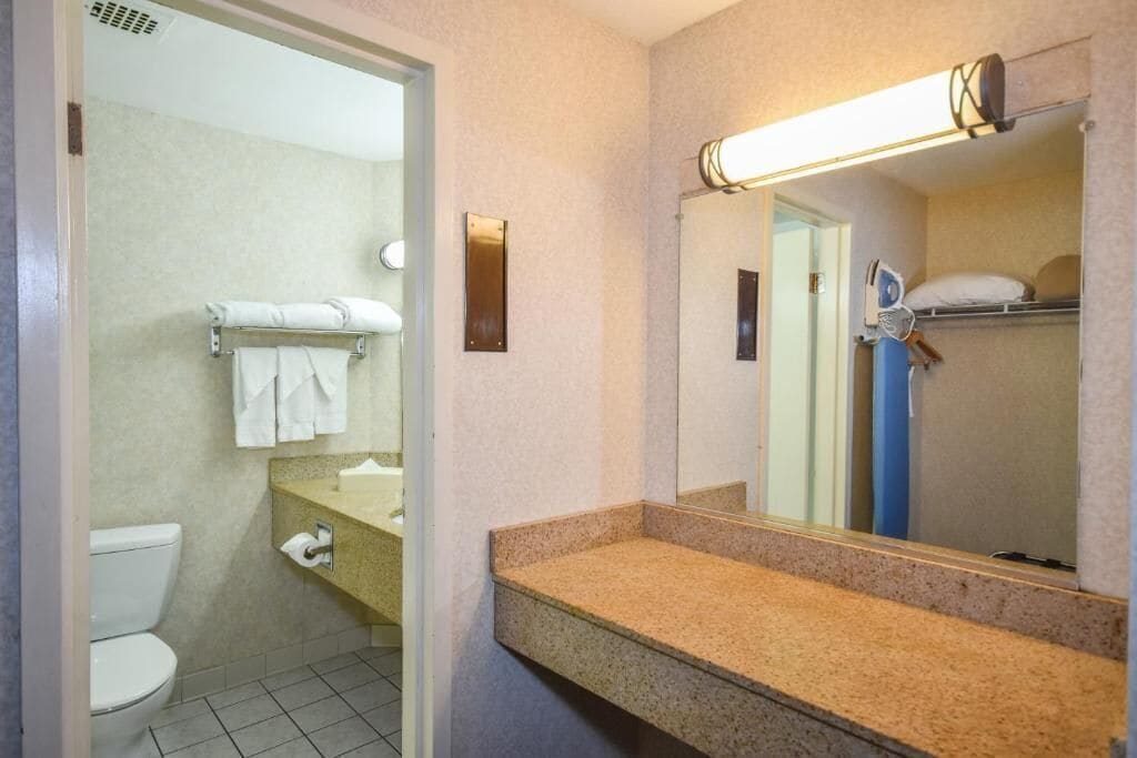 Une salle de bain avec des toilettes, un lavabo et un miroir.