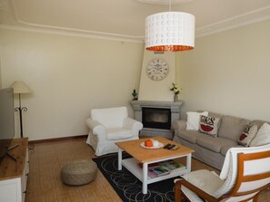 Televisión, chimenea y reproductor de DVD 