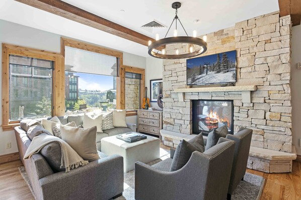 TV, fireplace, books