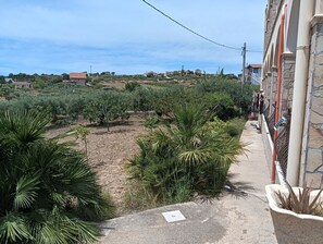 Terrain de l’hébergement