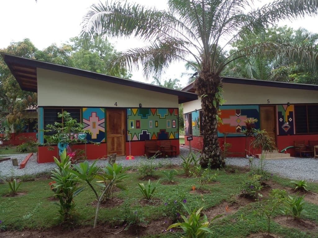 A building with colorful murals and a garden with various plants.