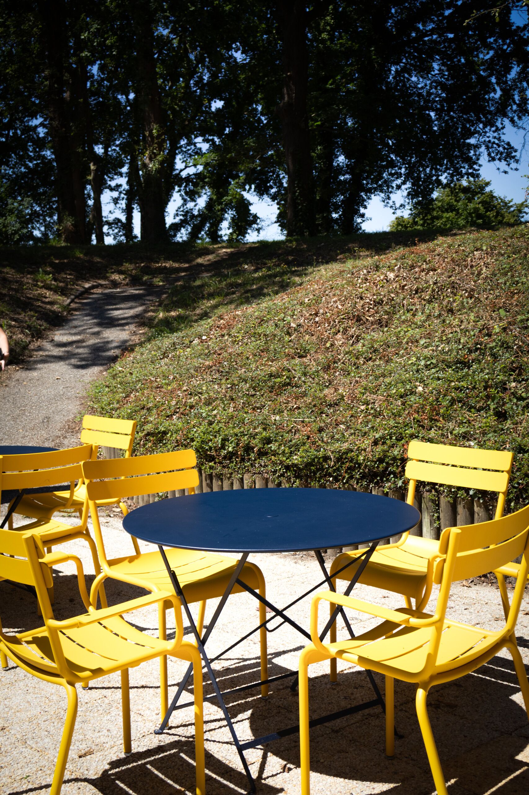 テラス / パティオ