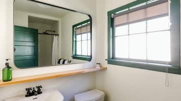 Shower, hair dryer