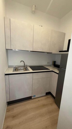 Fridge, stovetop, cookware/dishes/utensils