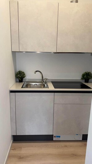 Fridge, stovetop, cookware/dishes/utensils