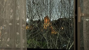 Blick aus dem Fenster auf ein Gebäude, im Vordergrund kahl stehende Bäume und im Hintergrund ein beleuchtetes Gebäude.
