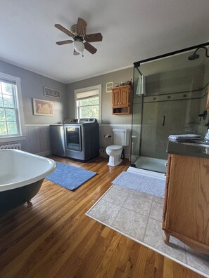 Shower, hair dryer, towels, toilet paper