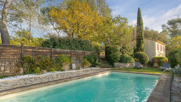A swimming pool with a stone border, surrounded by greenery and a wooden fence.