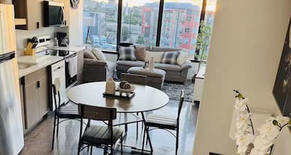 Downtown DSM Loft w/ Views