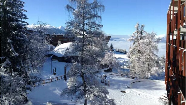 Un paysage enneigé avec des bâtiments et des arbres, un ciel dégagé et une clôture en bois.