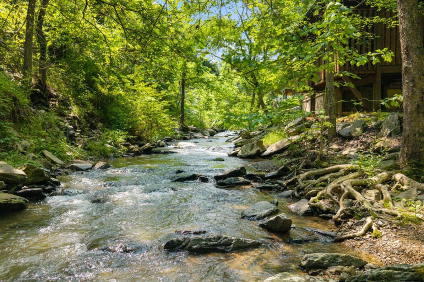 Terrein van de accommodatie