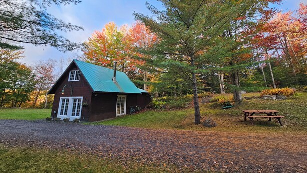 Une cabane rustique avec un toit végétalisé, entourée d’un feuillage automnal et agrémentée d’une table de pique-nique.
