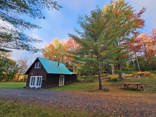 Newly Renovated Cozy Cottage with Wood Burning Stove - Sleeps up to 4