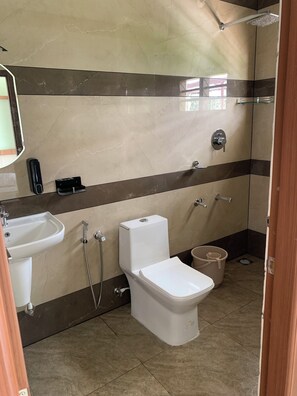 Douche, séchoir à cheveux, bidet, serviettes fournies