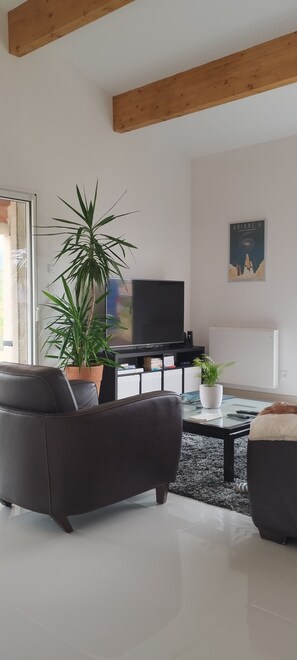 TV
