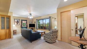 TV, fireplace, DVD player