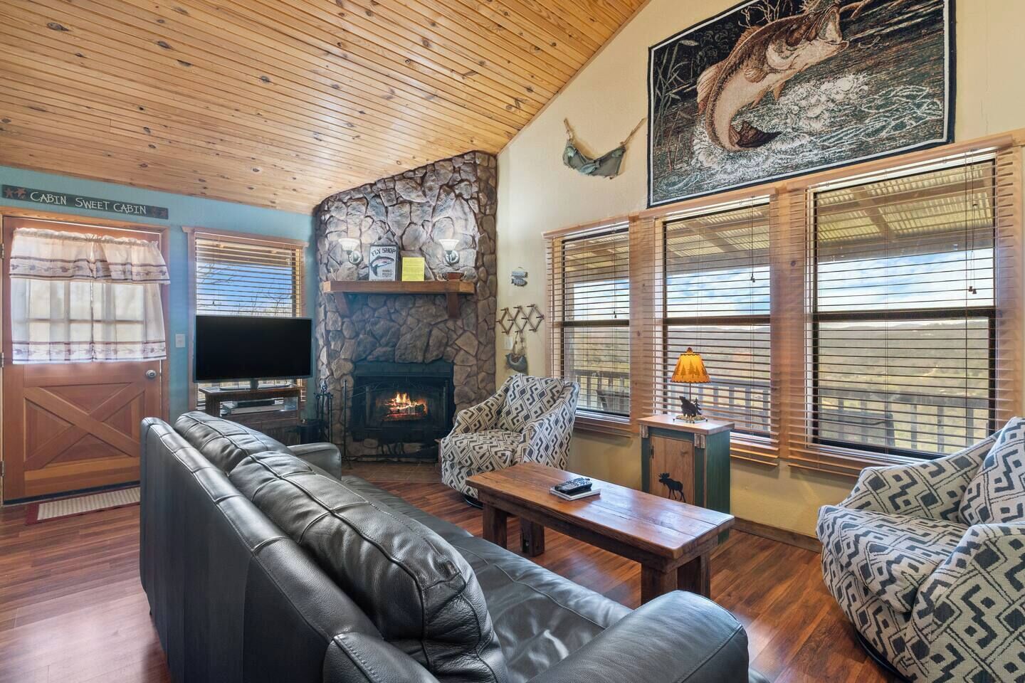 TV, fireplace, DVD player