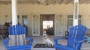 A covered outdoor seating area with blue chairs and a small dog. -  A Hidden Bed & breakfast with live-in host  Private, Peaceful with Plunge pool. (Christ Church)