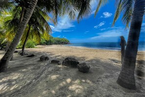Plage à proximité