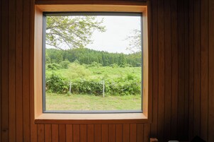 Vista desde la propiedad