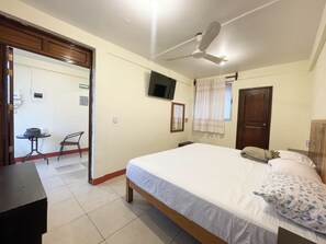Chambre de base double, 1 très grand lit, non-fumeur | Accès au Wi-Fi (inclus)