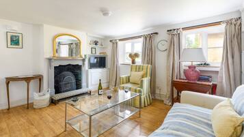 TV, fireplace, books