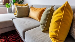 Ein graues Sofa mit mehreren Kissen in Gelb und Grün, ein gemustertes Teppich und eine Pflanze im Hintergrund.