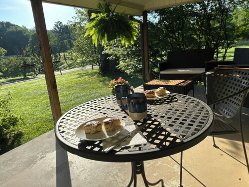 4-bedroom house in marvelous Lynchburg with private inground pool and sauna