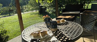 4-bedroom house in marvelous Lynchburg with private inground pool and sauna