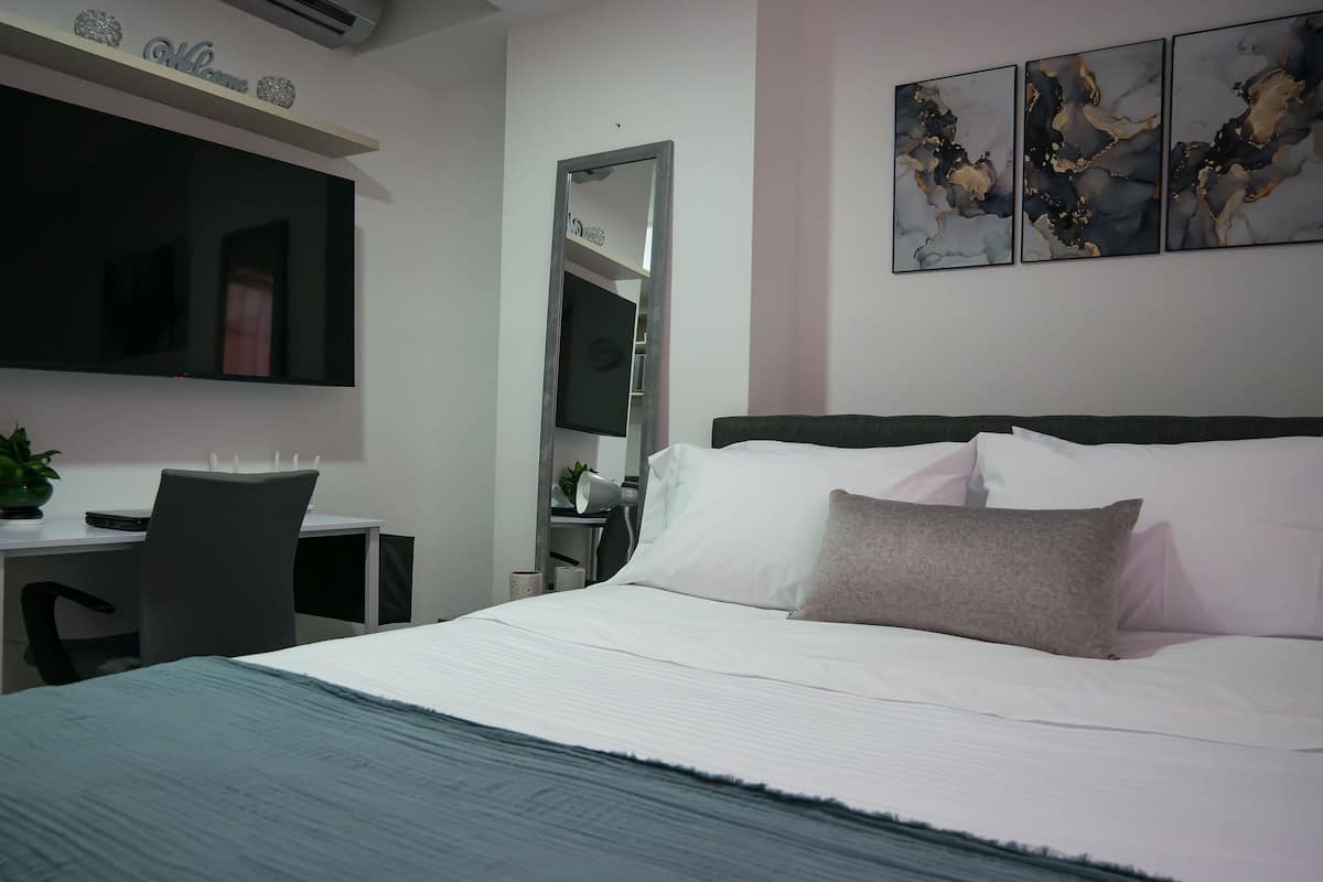 Basic Apartment | In-room safe, desk, laptop workspace, iron/ironing board