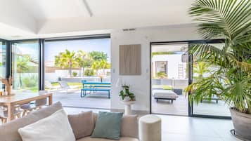 Télévision, cheminée, lecteur de DVD, chaßne hi-fi