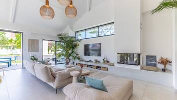 Télévision, cheminée, lecteur de DVD, chaßne hi-fi