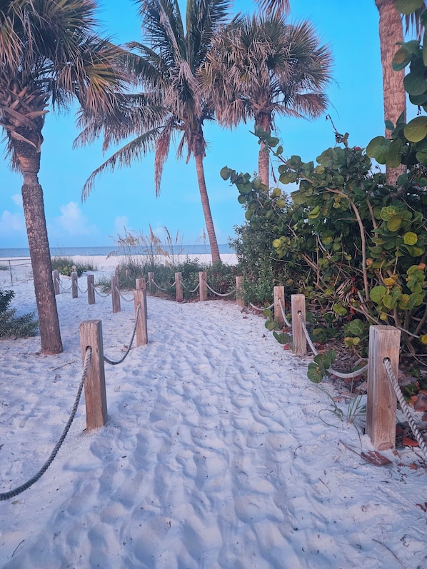 Strand