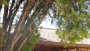 Ein Steinhaus mit einer überdachten Terrasse, Sitzgelegenheiten im Freien und einem Baum davor.