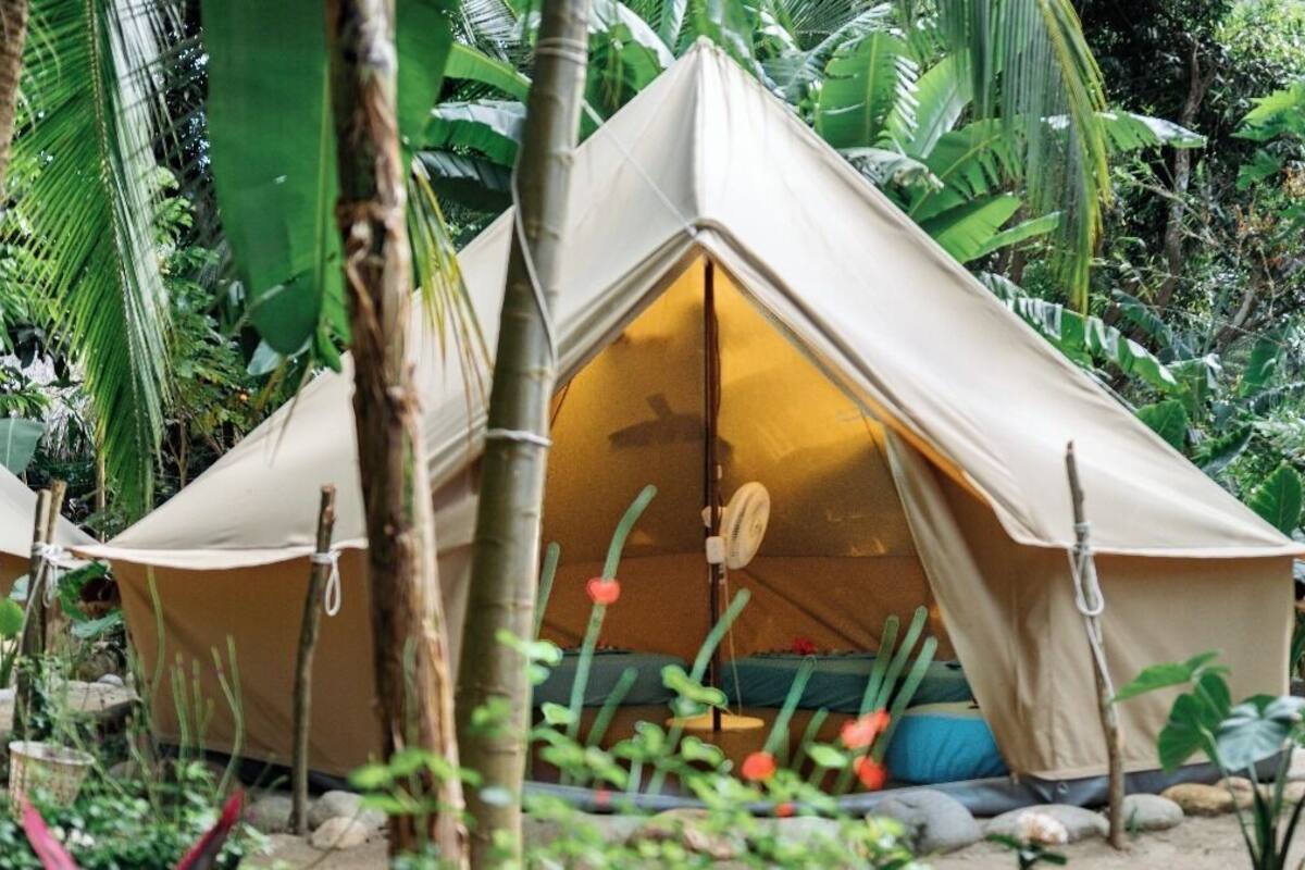 A beige tent with a peaked roof, surrounded by lush greenery and rocks.