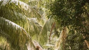 Gambar tidak terklasifikasi, 4 dari 74, tombol