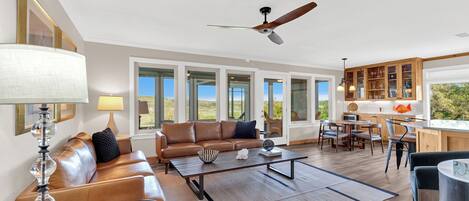 Smart TV, fireplace, books, stereo