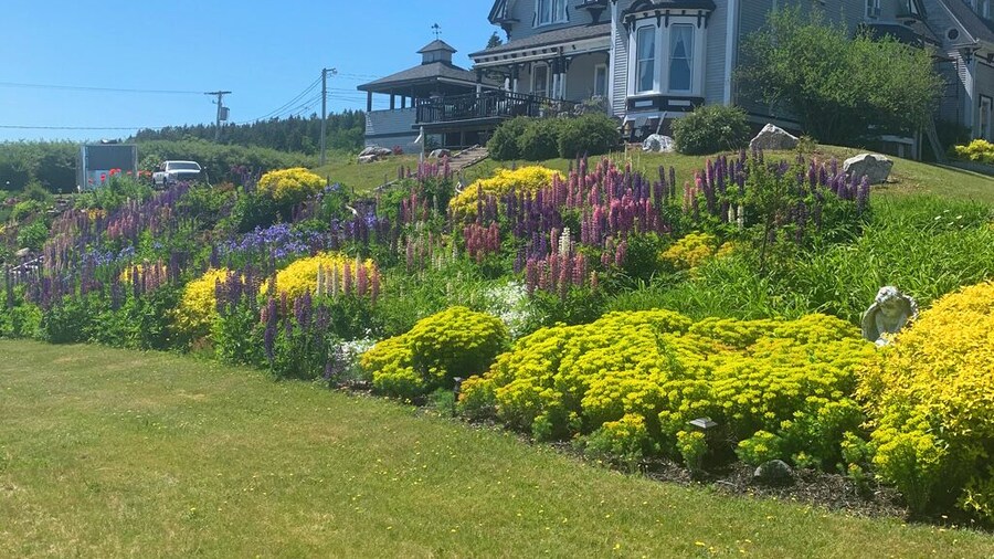 St. Martins Country Inn