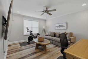 Smart TV, fireplace, books, computer monitors