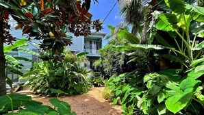 A garden pathway surrounded by lush tropical plants and a house in the background.